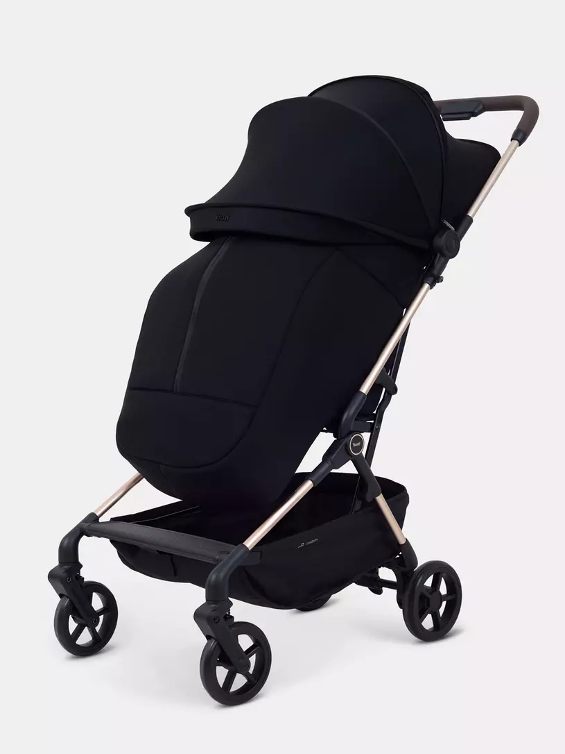 Коляска прогулочная Rant Avion Black
