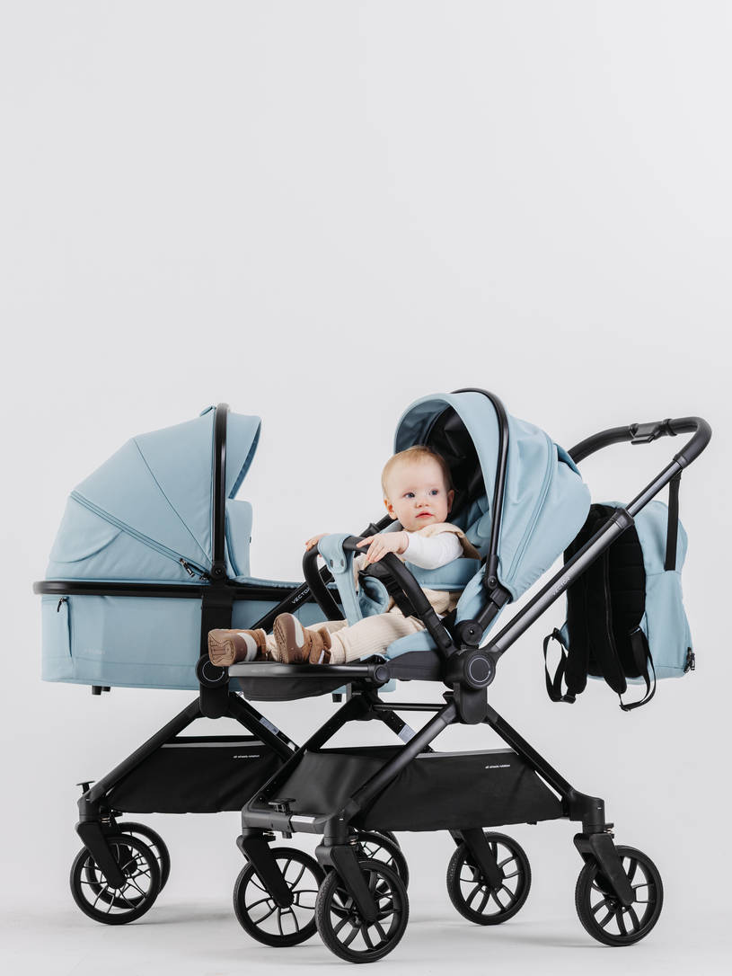 Коляска 2 в 1 Rant Vector Blue