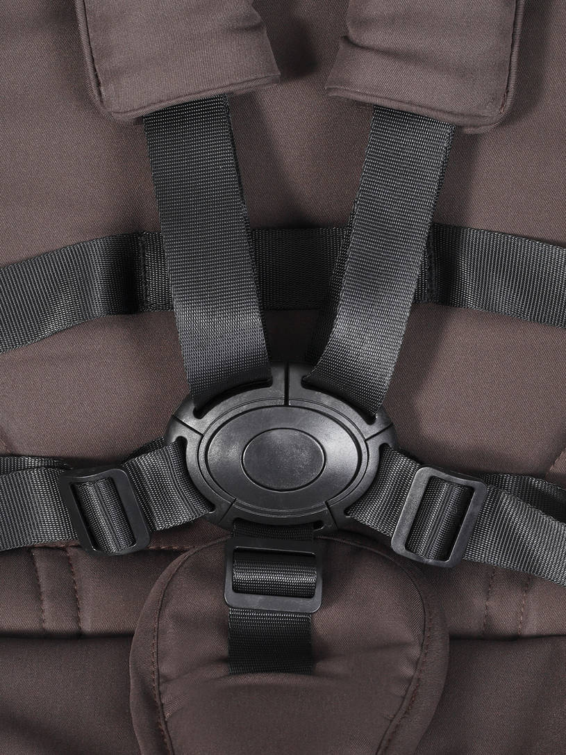 Коляска прогулочная Rant Caspia Soft Shine brown