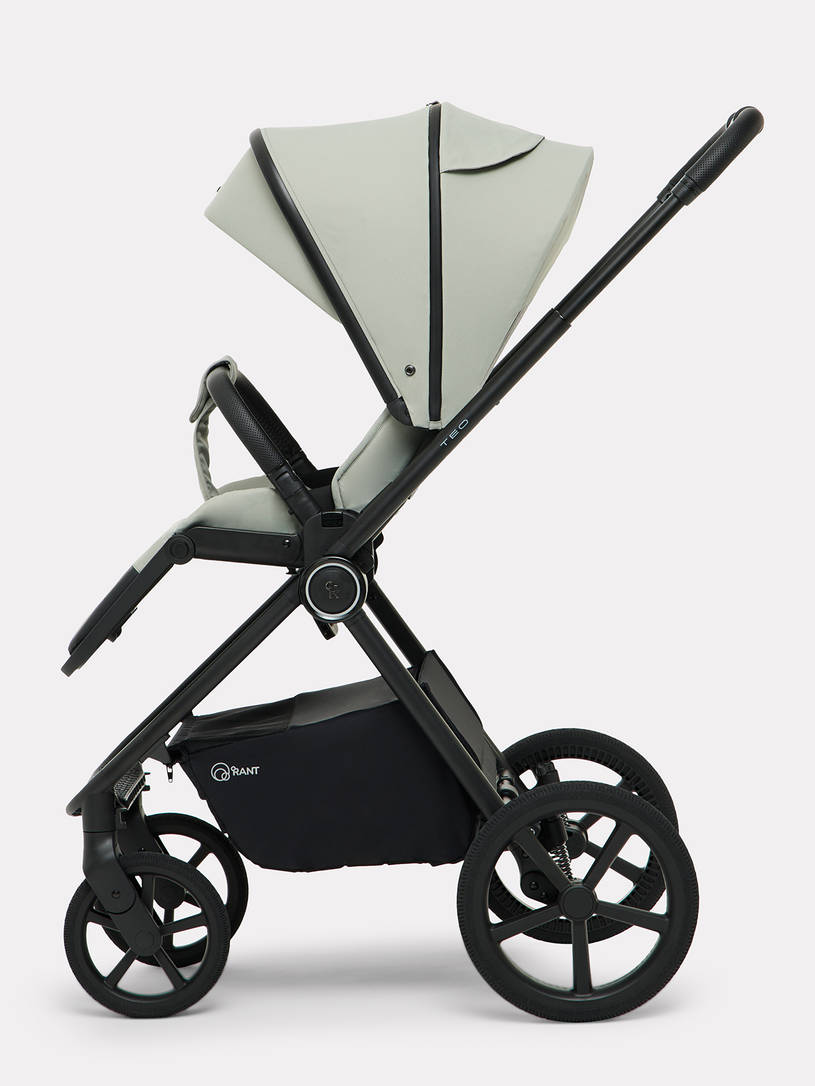 Коляска 2 в 1 Rant Teo Soft Sage