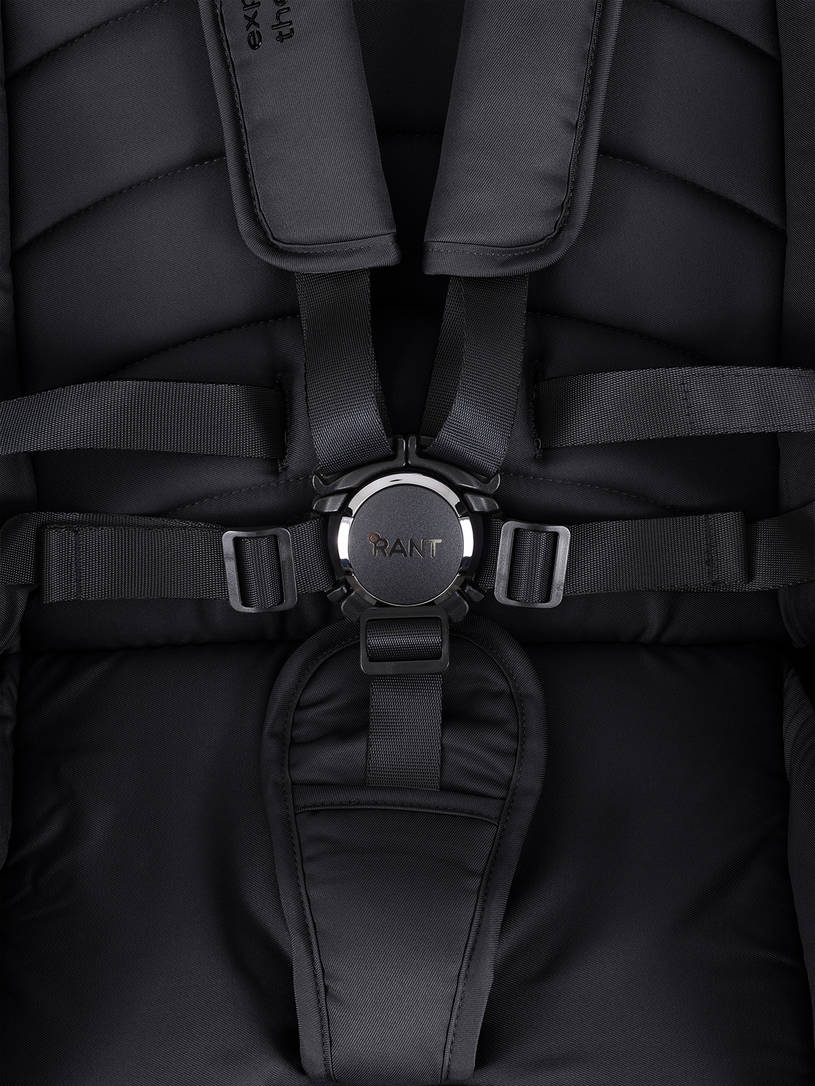 Коляска 2 в 1 Rant Falcon Therm Black