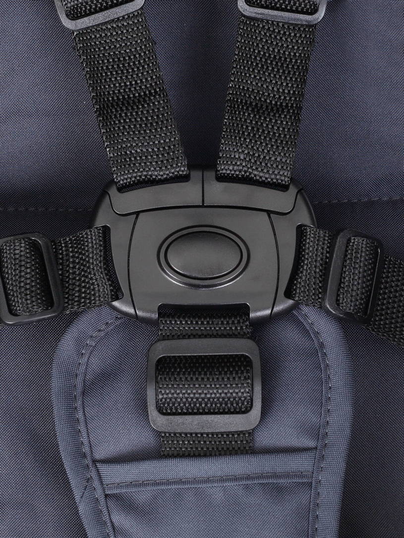 Коляска прогулочная Rant Basic Alpine Eva Blue