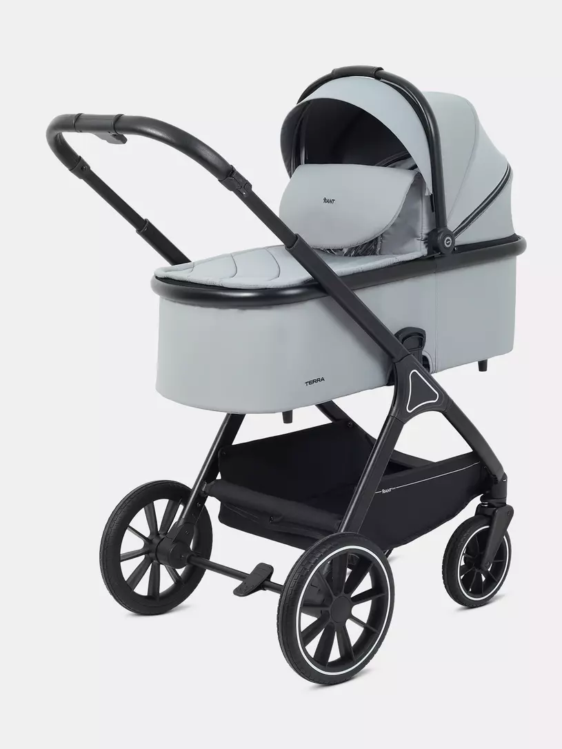 Коляска 2 в 1 Rant Basic Terra Grey