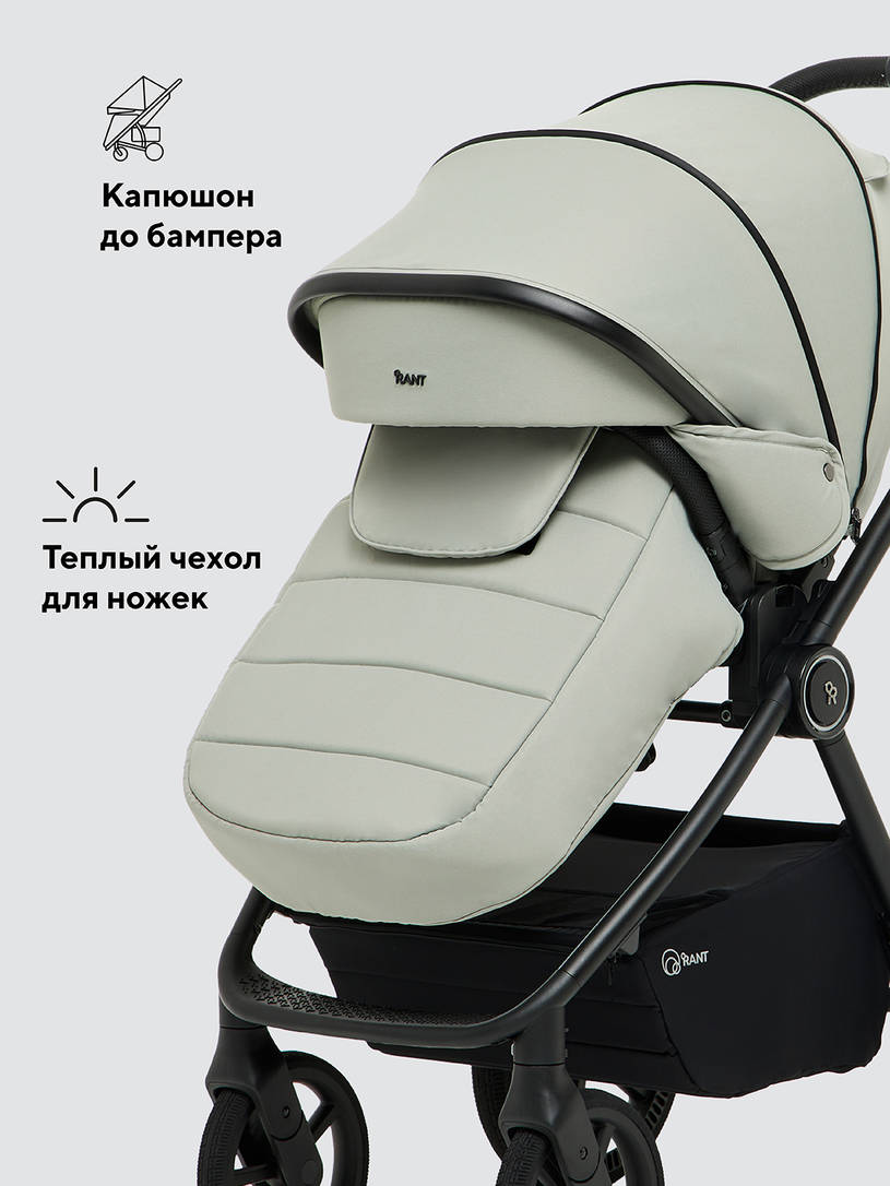 Коляска 2 в 1 Rant Teo Soft Sage