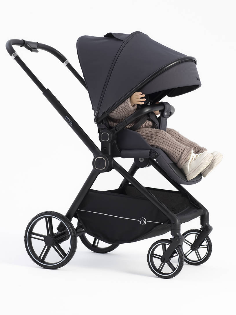 Коляска прогулочная Rant Moss 2025 Graphite