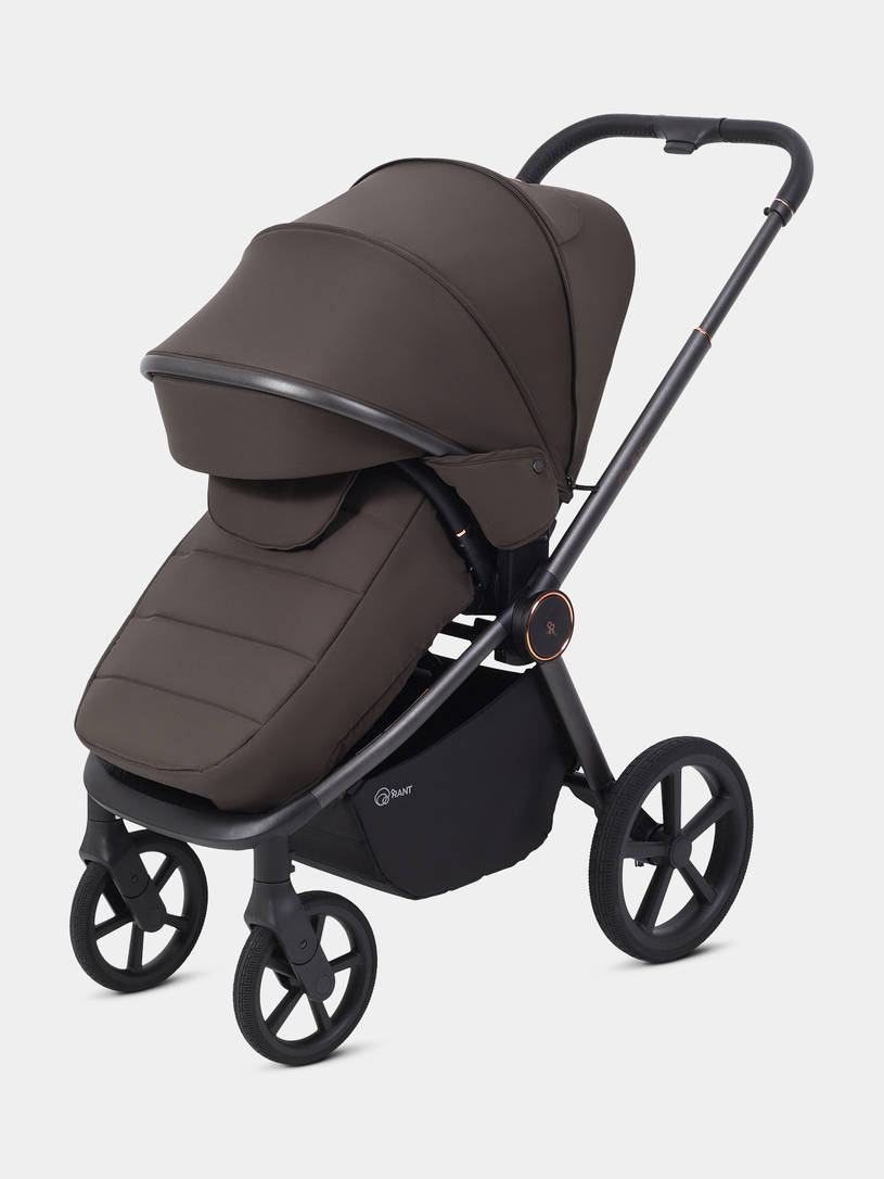 Коляска прогулочная Rant Flex Color Shine brown