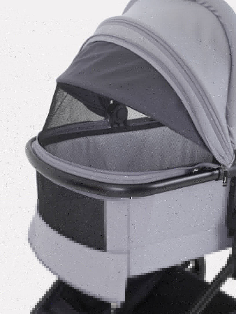 Коляска 2 в 1 Rant Moss Sage green