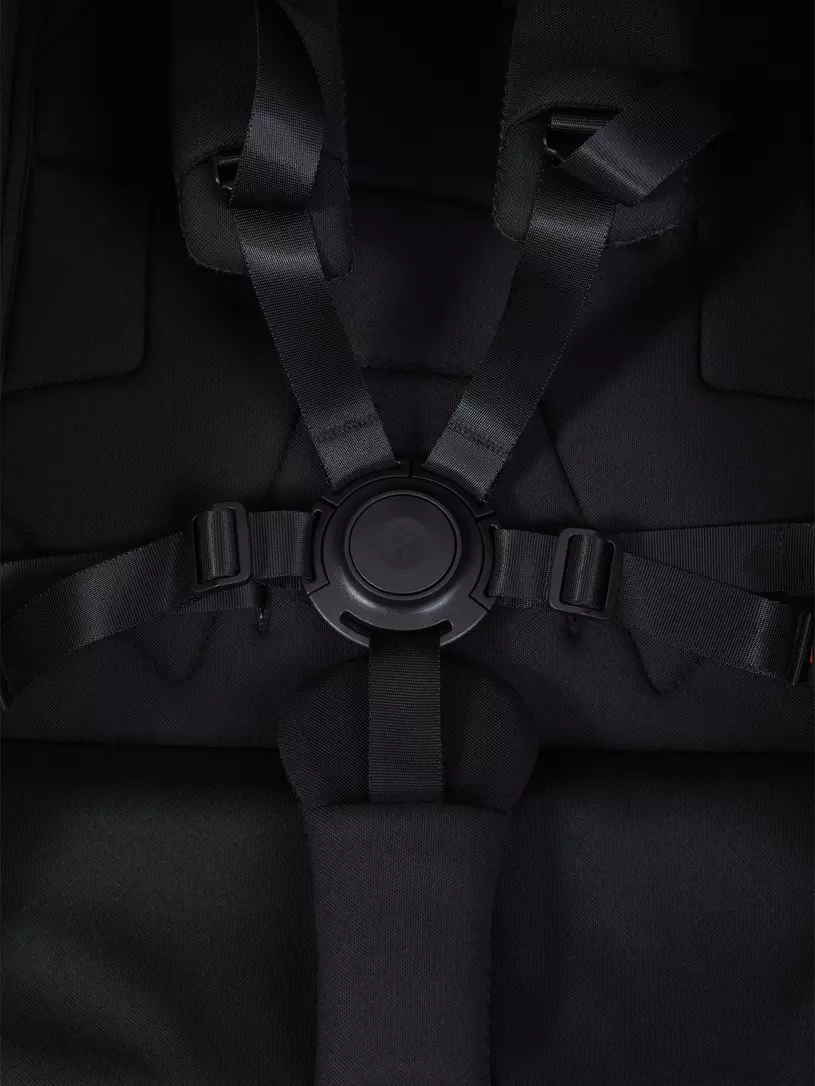 Коляска прогулочная Rant Avion Сarbon Black