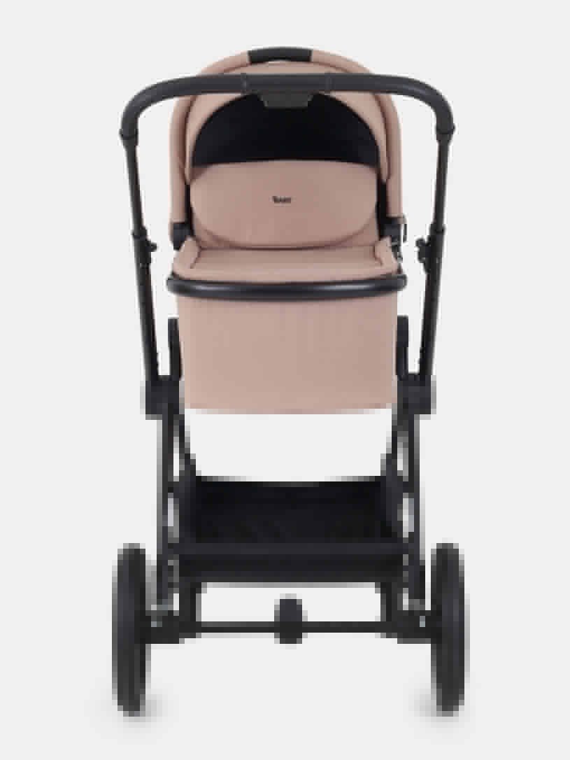 Коляска 2 в 1 Rant Moss Midnight black