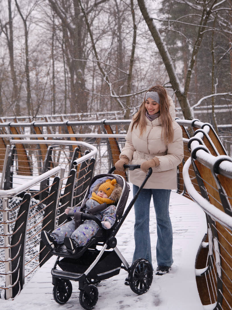 Коляска 2 в 1 Mowbaby Tilda Carbon