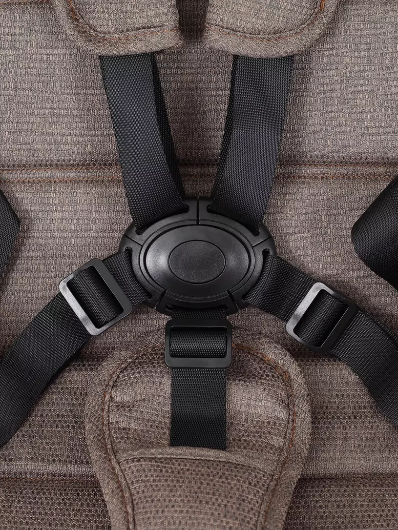 Коляска 3 в 1 Mowbaby Zoom Gold 2025 cacao brown