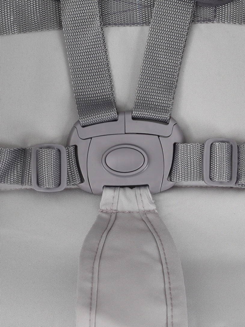 Коляска прогулочная Rant Basic Tango Silver Grey