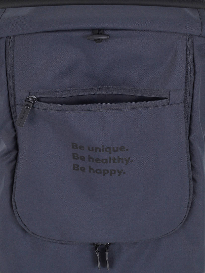 Коляска прогулочная Rant Basic Alpine Eva Graphite