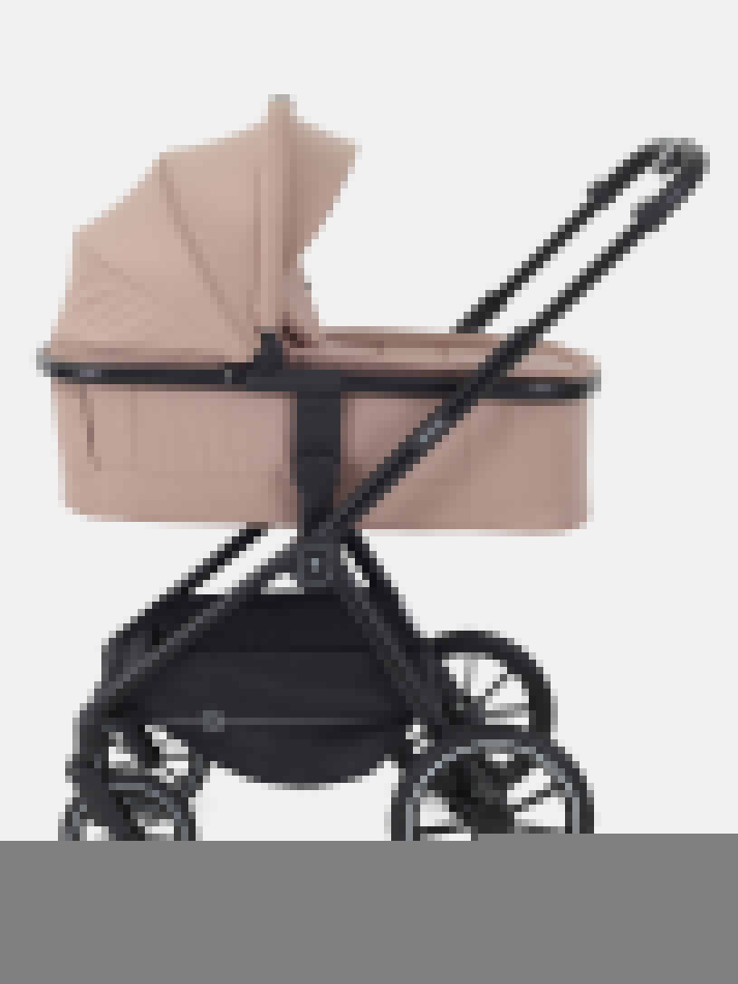 Коляска 2 в 1 Rant Moss Midnight black