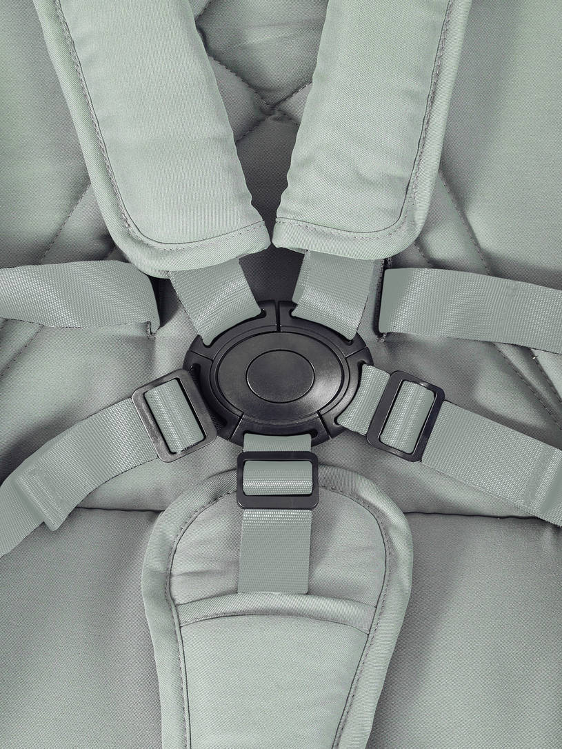 Коляска прогулочная Rant Flex Color Forest green