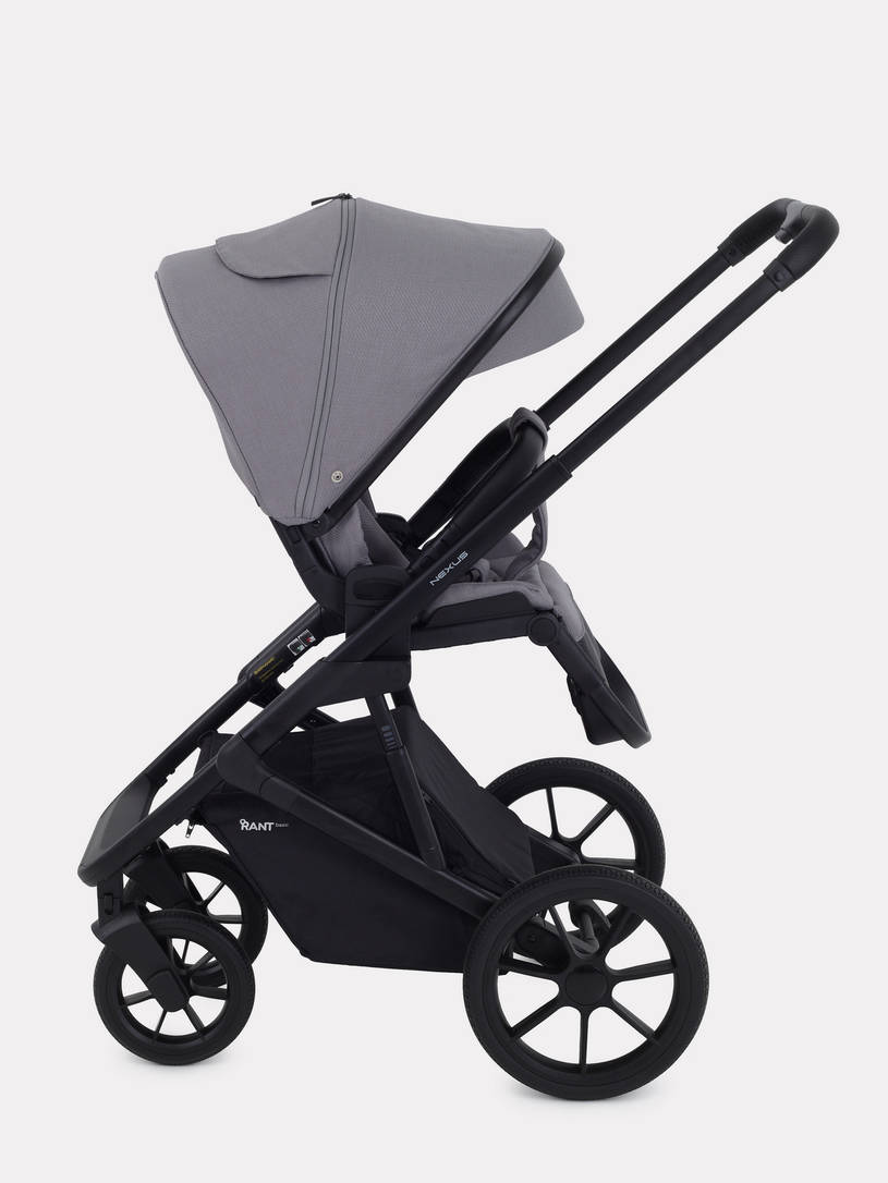 Коляска 2 в 1 Rant Basic Nexus Cloudburst