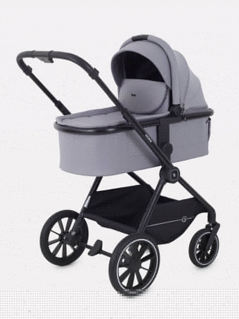 Коляска 2 в 1 Rant Moss Sage green