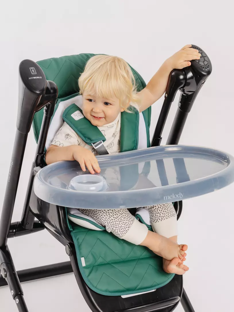 Стульчик для кормления Rant Melody dark green
