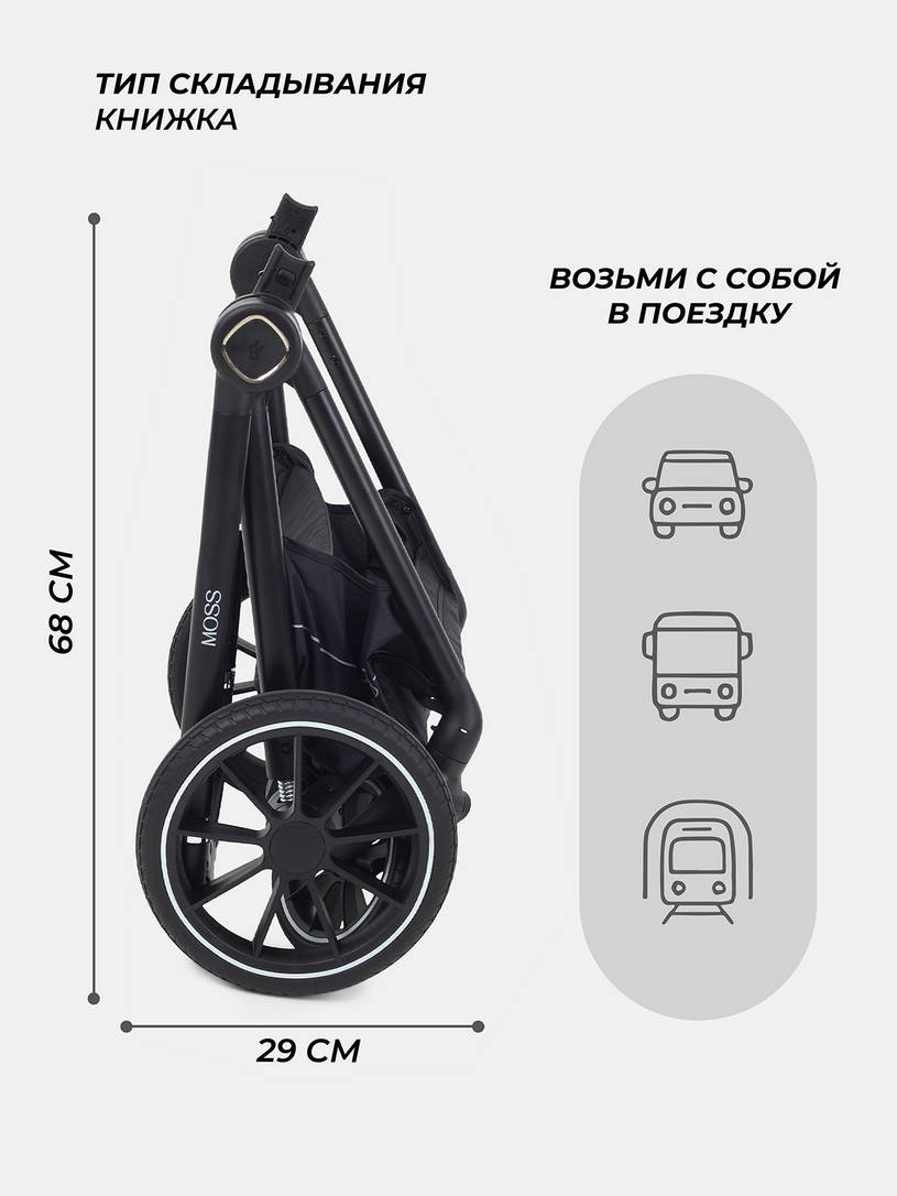 Коляска 2 в 1 Rant Moss 2025 Graphite