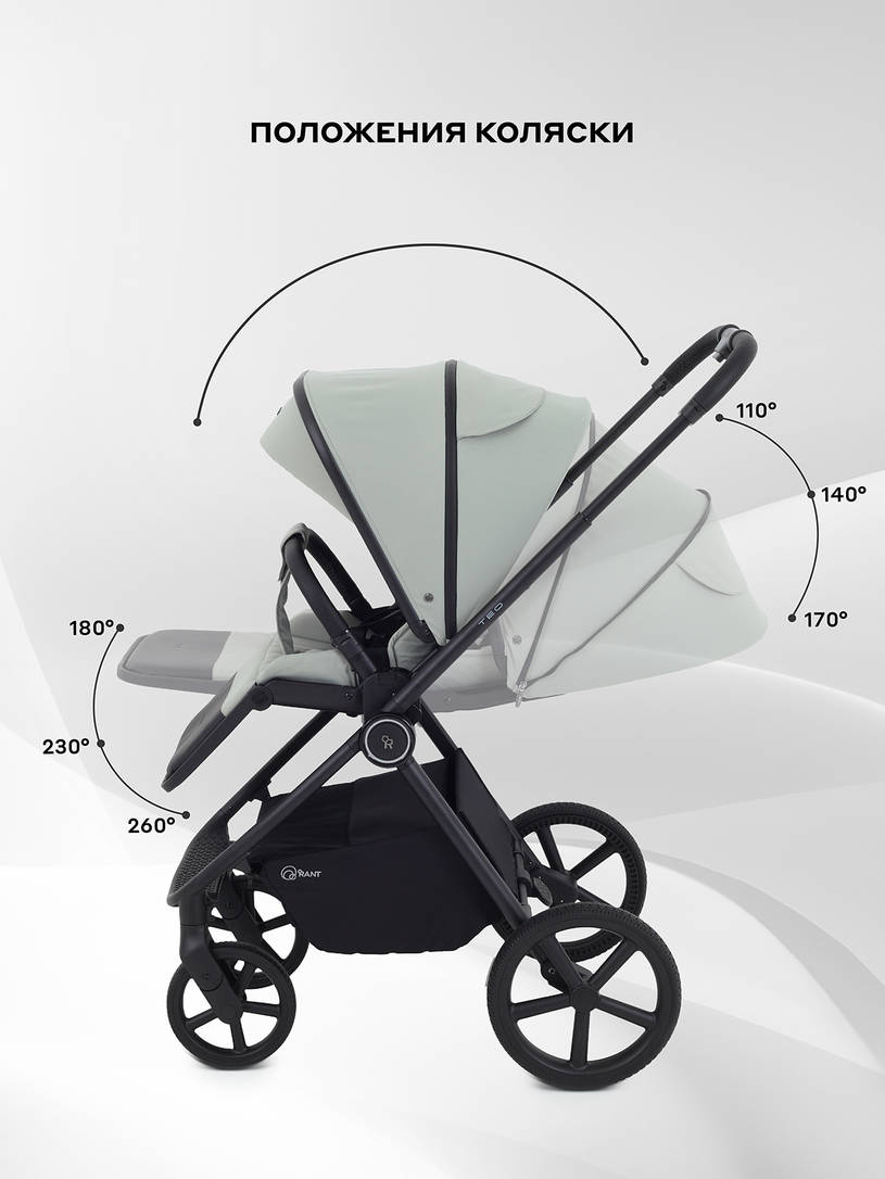 Коляска 2 в 1 Rant Teo Sage