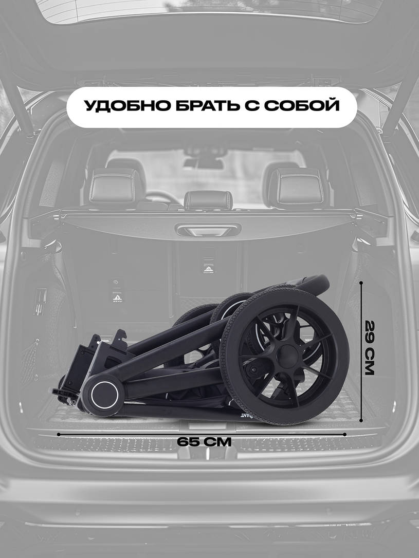 Коляска 2 в 1 Rant Flex 2025 RA076 Graphite