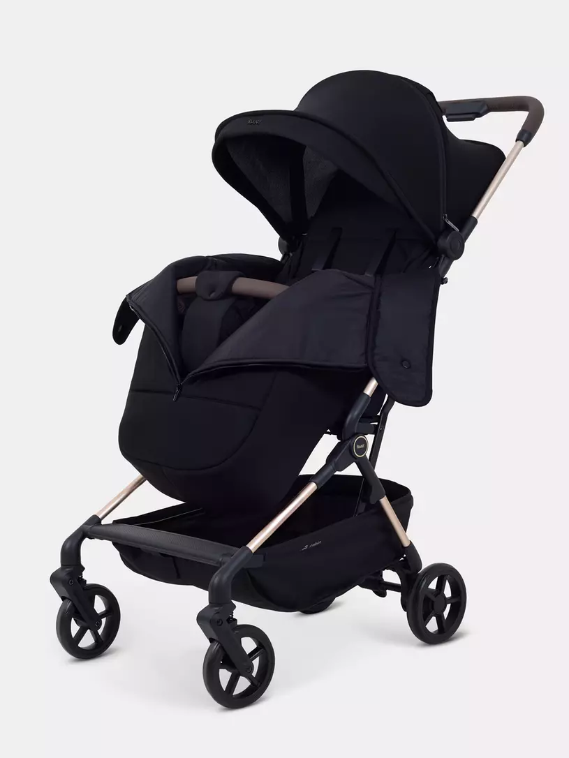 Коляска прогулочная Rant Avion Black