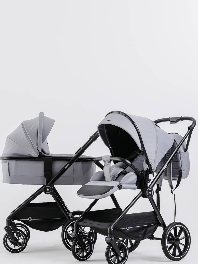 Коляска 2 в 1 Rant Moss Sage green