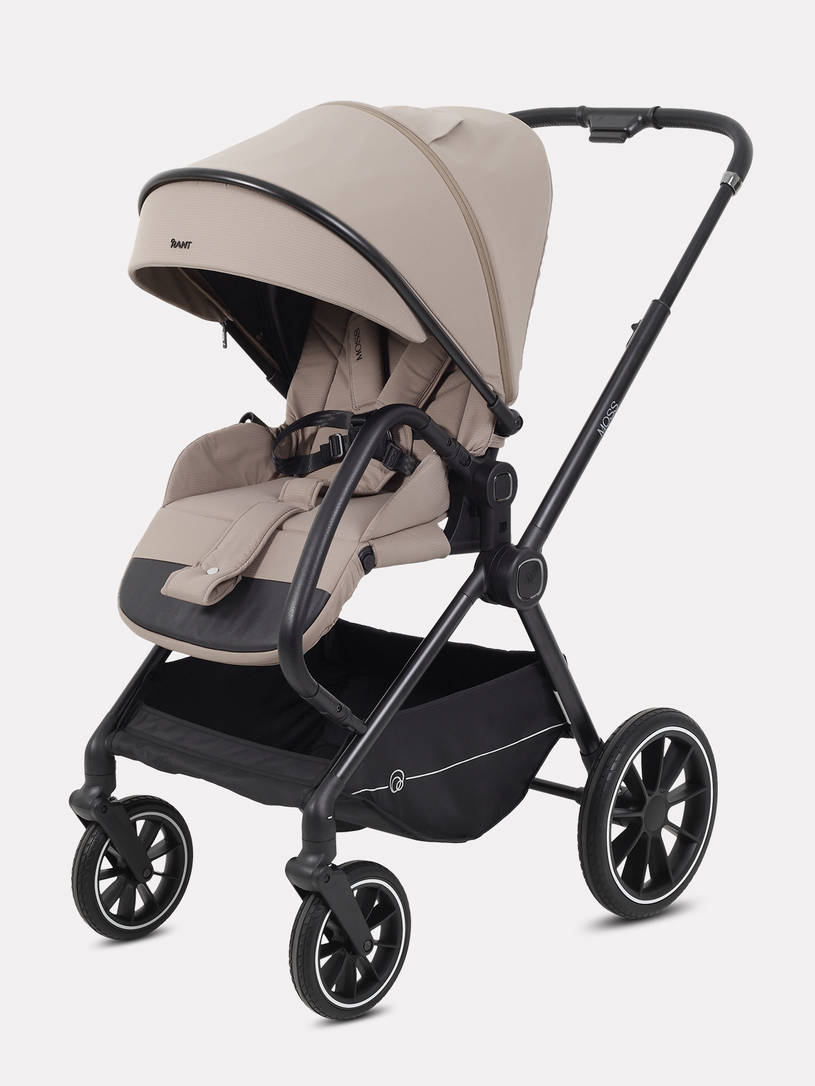 Коляска 2 в 1 Rant Moss 2025 Coffee