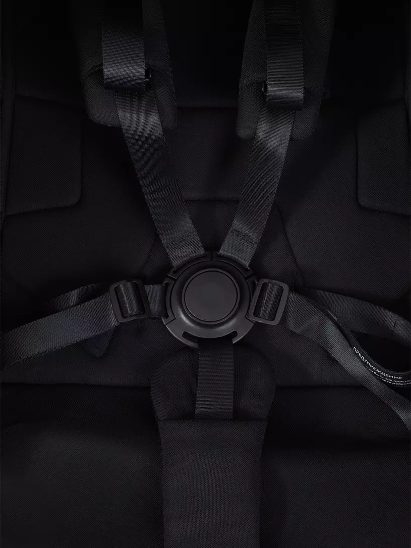 Коляска прогулочная Rant Avion Black