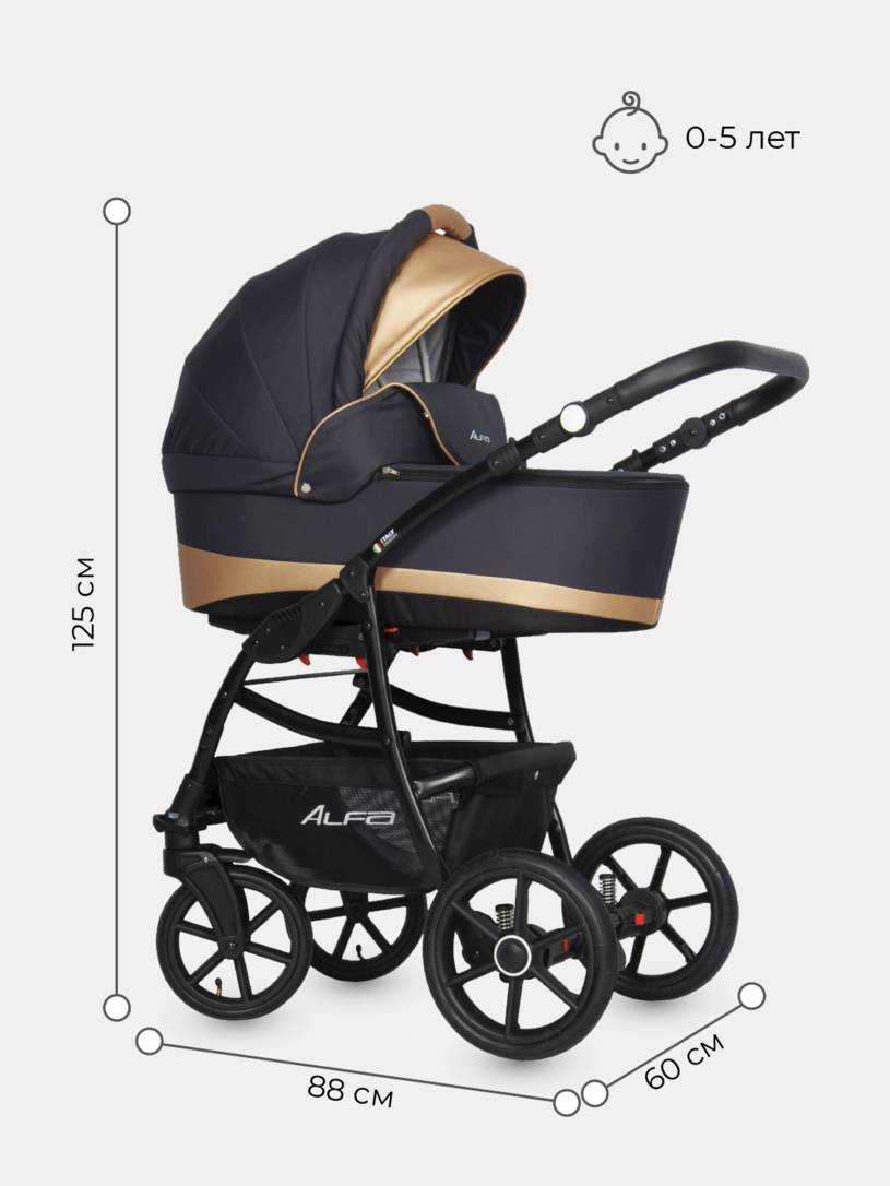 Коляска 2 в 1 Riko Basic Alfa Ecco 02 черно-золотистый