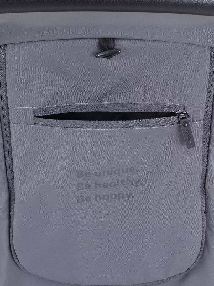 Коляска прогулочная Rant Basic Alpine 2025 Graphite