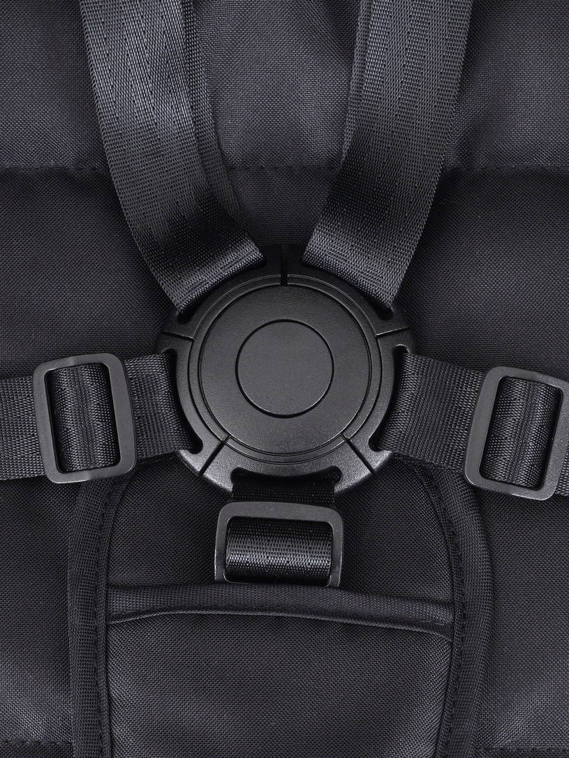 Коляска прогулочная Rant Basic Joy 2025 Gold Black