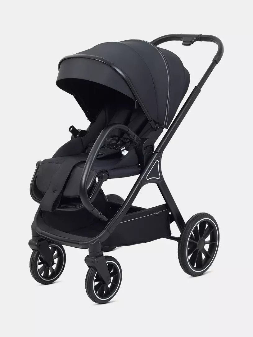 Коляска 2 в 1 Rant Basic Terra Black