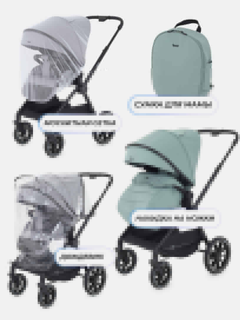 Коляска 2 в 1 Rant Moss Classic grey
