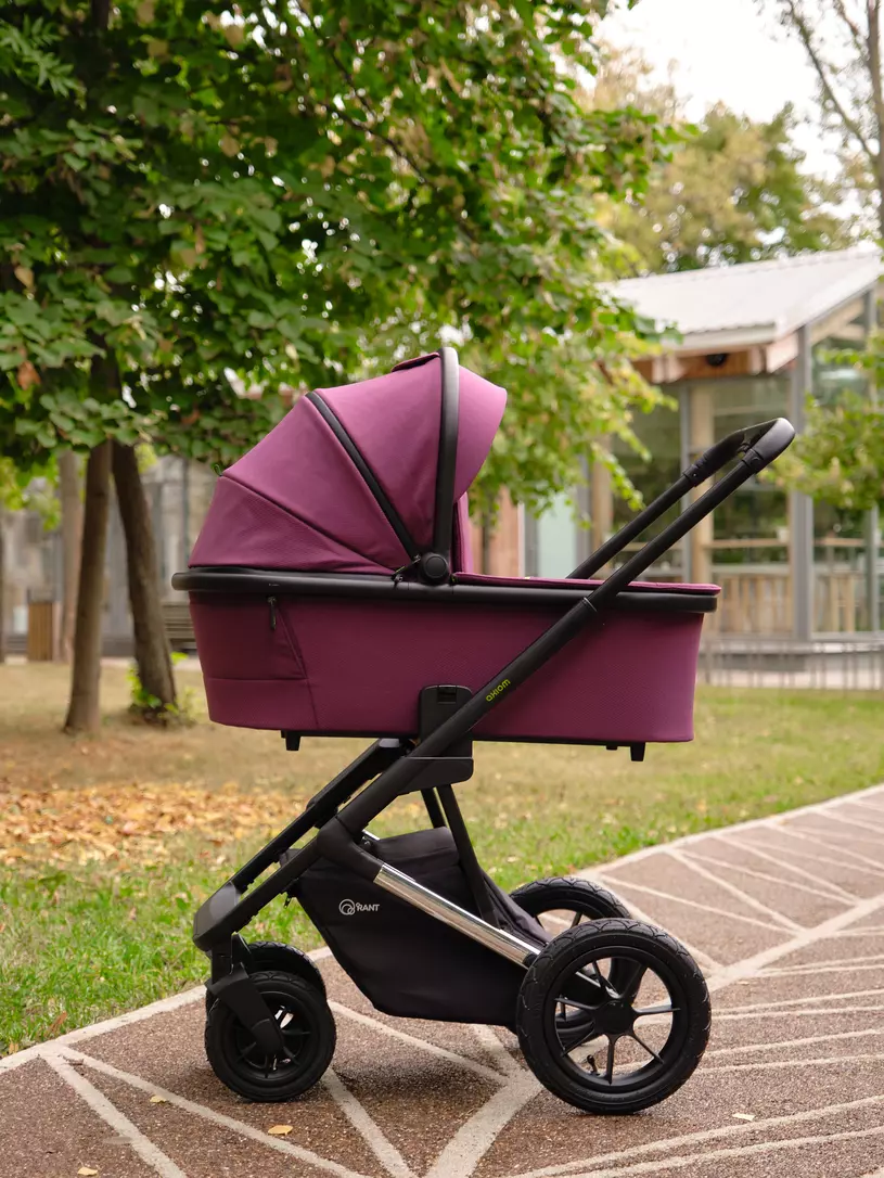 КОЛЯСКА 2 В 1 RANT AXIOM PURPLE