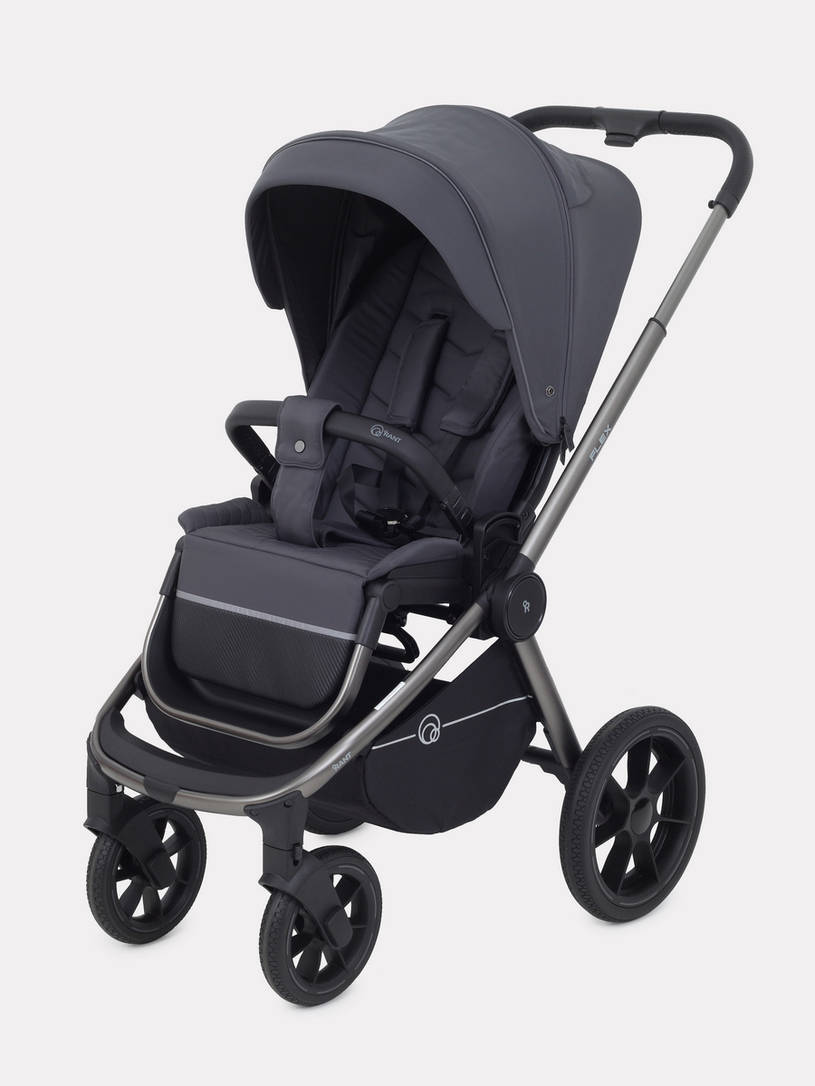 Коляска 2 в 1 RANT FLEX PRO 2023 RA074 GRAPHITE