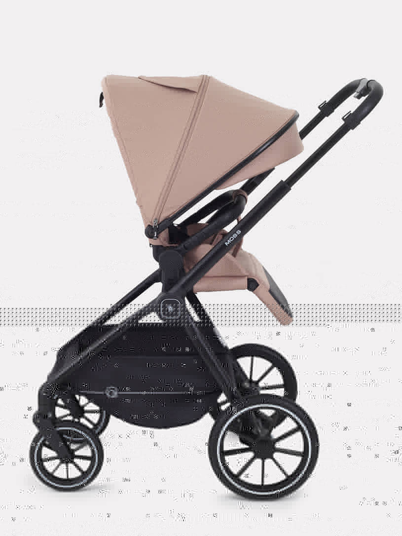 Коляска 2 в 1 Rant Moss Midnight black