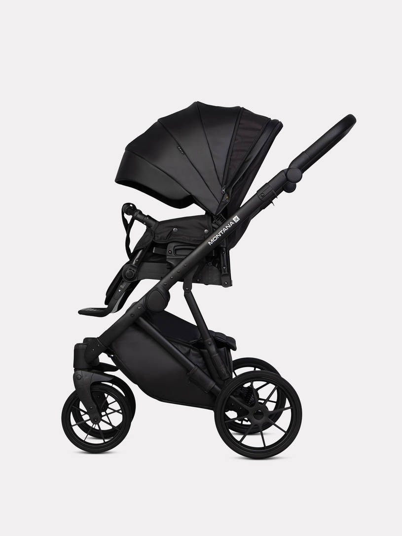 Коляска 2 в 1 Riko Basic Montana Ecco X 12 Black
