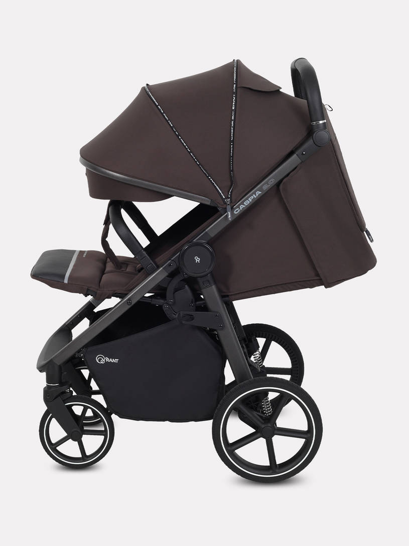 Коляска прогулочная Rant Caspia Soft Shine brown