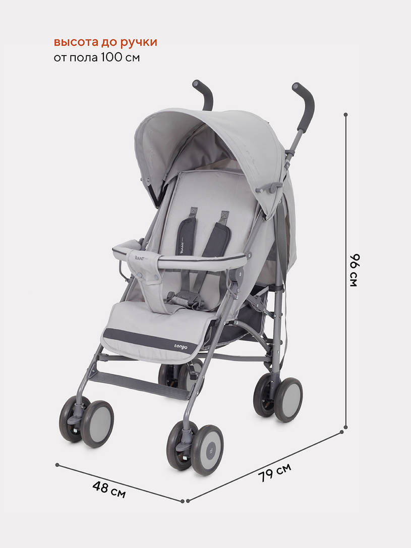 Коляска прогулочная Rant Basic Tango Silver Grey