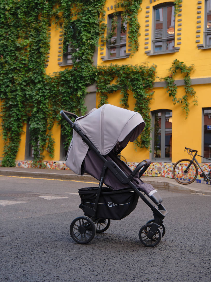 Коляска прогулочная Rant Vega Star Soft Grey. Цвет: Серый