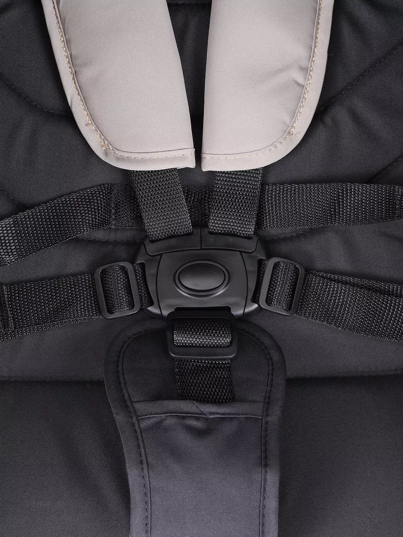 Коляска прогулочная Rant Basic Alpine 2025 Beige