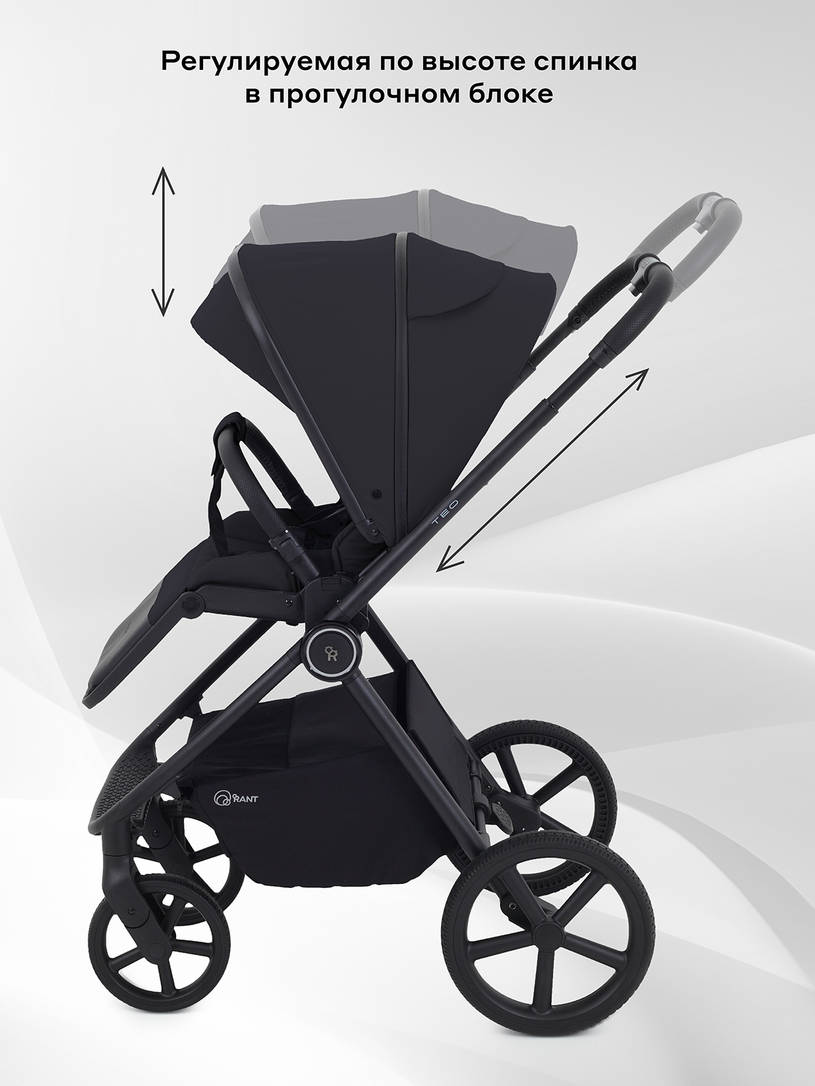 Коляска 2 в 1 Rant Teo Black