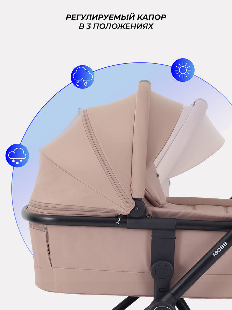 Коляска 2 в 1 Rant Moss Midnight black