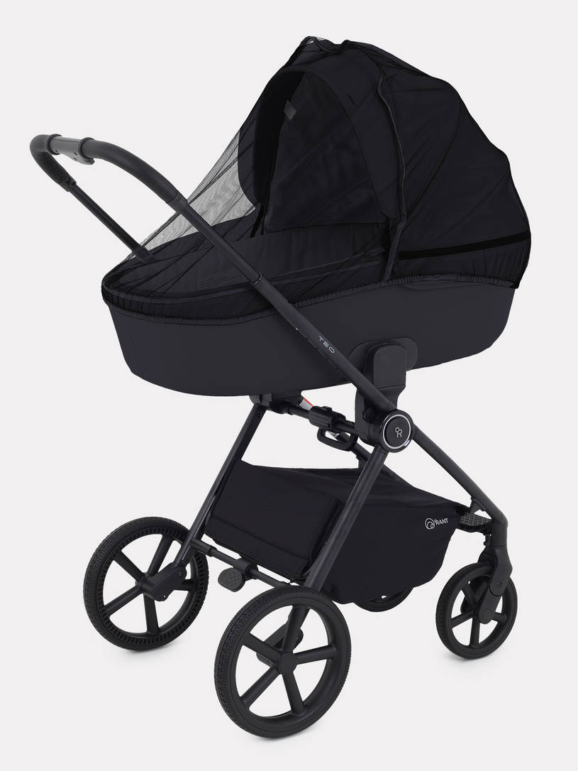 Коляска 2 в 1 Rant Teo Black