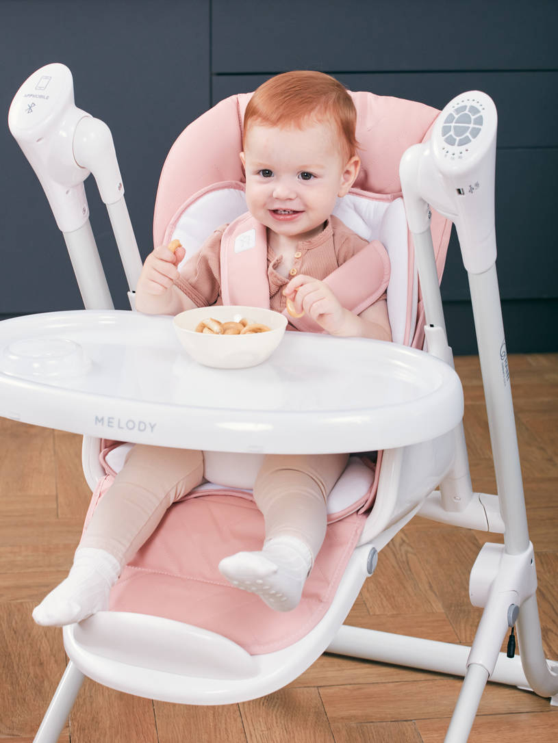 Стульчик для кормления Rant Melody cloud pink