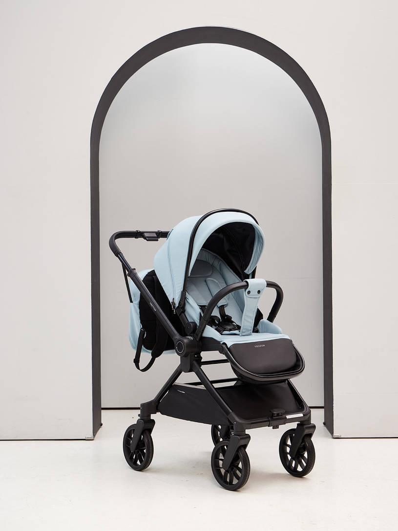 Коляска 2 в 1 Rant Vector Blue