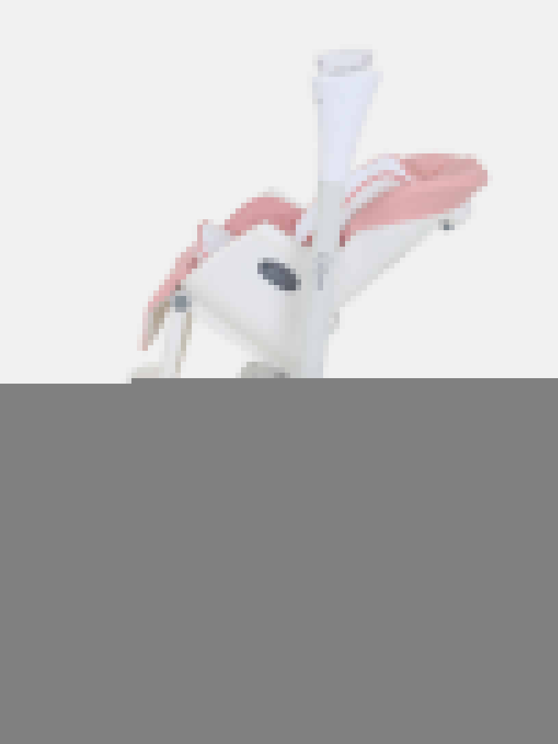 Стульчик для кормления Rant Melody cloud pink