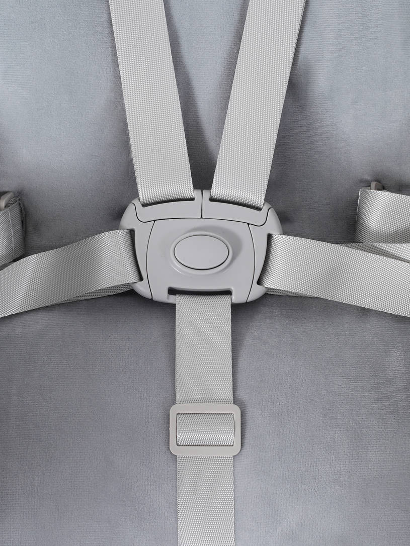 Стульчик для кормления Rant Basic Mango Pro Graphite