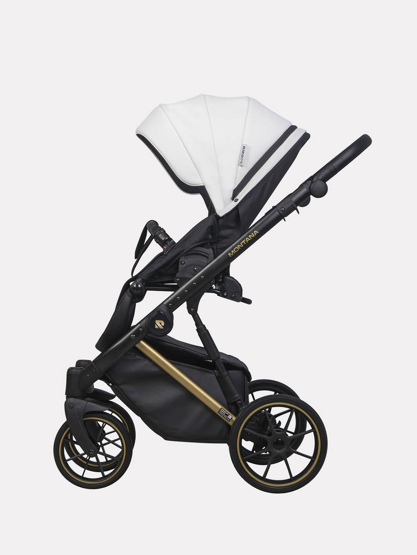 Коляска 2 в 1 Riko Basic Montana Premium Gold 01